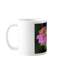 Silky Aster Coffee Mugs