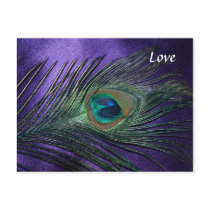 Silky Purple Peacock Feather