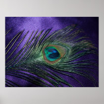 Silky Purple Peacock Feather