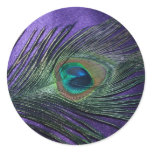 Silky Purple Peacock Feather