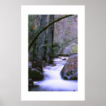 Silky Waters Posters