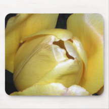 Silky Yellow Tulips II Mousemats