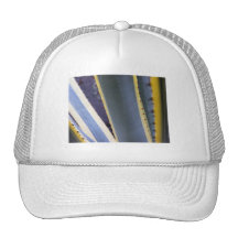 silkythornyalbino trucker hat