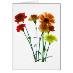 sillhoutte cards