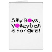 silly volleyball