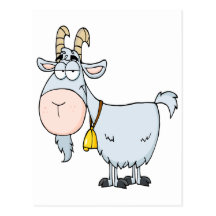 silly cartoon billy goat postcard
