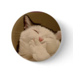 Silly Cat Buton buttons