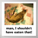silly cat picture posters