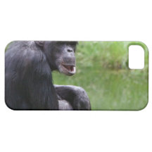 Silly Chimpanzee iPhone 5 Cases