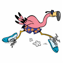 silly cute jogging running flamingo photo sculptures