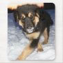 Silly Dog Mousepad
