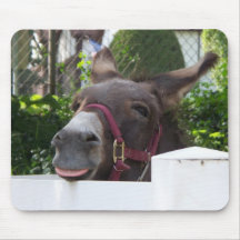 Silly Donkey Mousepad
