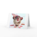 Silly Flutterby Rat cards