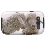 Silly Goats Photo