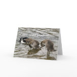 Silly Goose Love Card