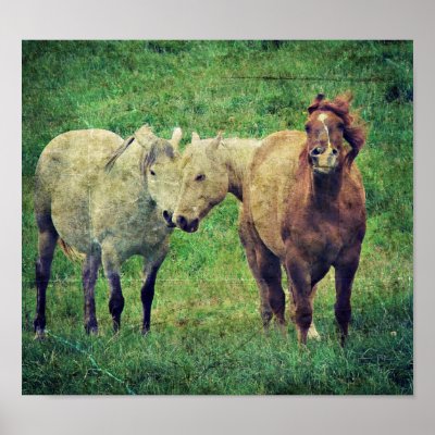 Silly Horses Poster
