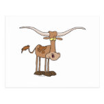 silly longhorn cow cartoon character post cards