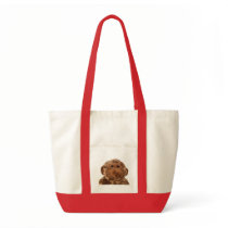 Silly Monkey Bag