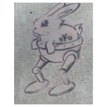 SILLY  PINK  BUNNY FLYERS