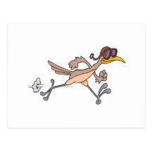 silly roadrunner bird cartoon post cards