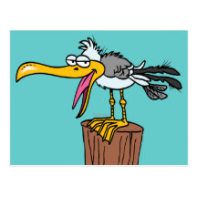 silly seagull cartoon postcards
