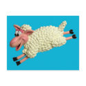 Silly Sheep postcards