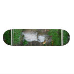 Silly Squirrel Skateboard