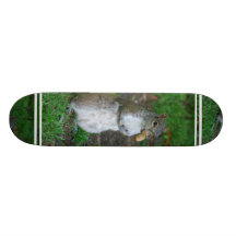 Silly Squirrel Skateboard