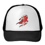 silly superhero caped super steak trucker hat