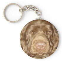 Silly Sussex Spaniel Key Chain