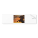 Silouette bumper stickers