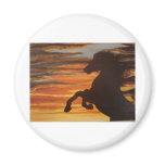 Silouette magnets
