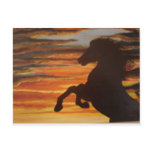 Silouette postcards