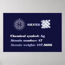Silver 101 poster