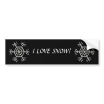 Silver and Gold Snowflake #2