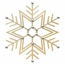 Silver and Gold Snowflake