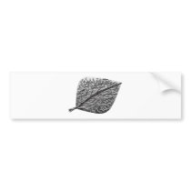 Silver Aspen Bumper Stickers