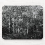 Silver Birch B&W mousepads