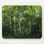 Silver Birch mousepads