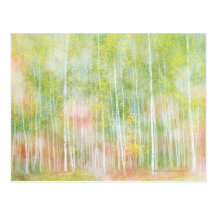 Silver Birch Trees Post Cards
