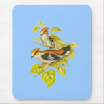 Silver-breasted Broadbill mousepads