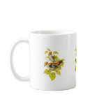 Silver-breasted Broadbill mugs