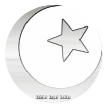Silver Coloured Star and Crescent Symbol