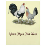 Silver Duckwing Gamefowl Flyers