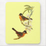 Silver-eared Mesia Mouse Pads