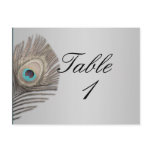 Silver Elegance Peacock Table Number Postcard
