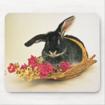 Silver fox rabbit named Boris flowers Mouse Pad