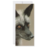 Silver Fox rack cards