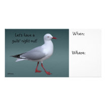 Silver Gull Photocard Picture Card