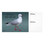 Silver Gull Photocard